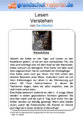 Hauskatze - Sachtext.pdf
